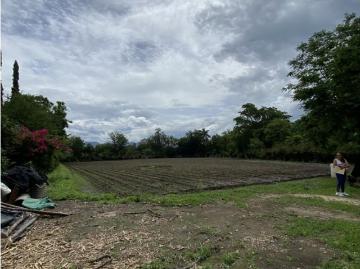 Terreno / Solar Yautepec de Zaragoza, México