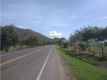 Terreno / Solar Yotoco, Colombia
