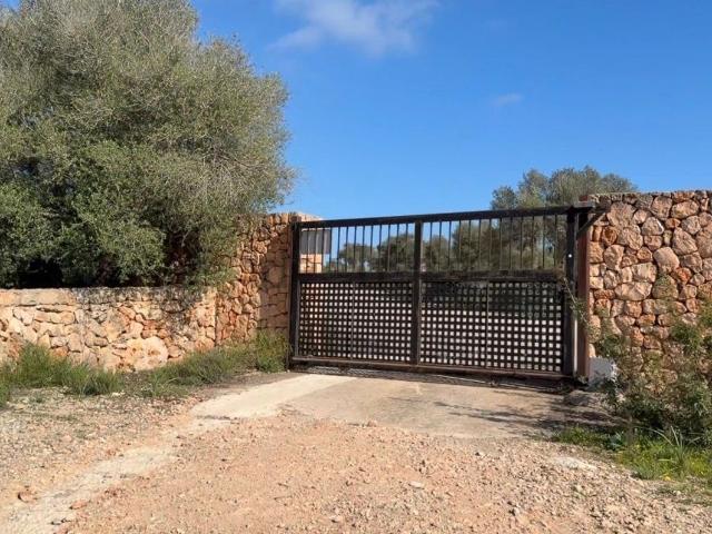 Terreno, Son Gual, Palma de Mallorca