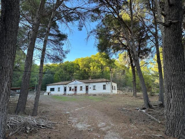 Terreno, Son Roca Son Ximelis Son Anglada, Palma de Mallorca