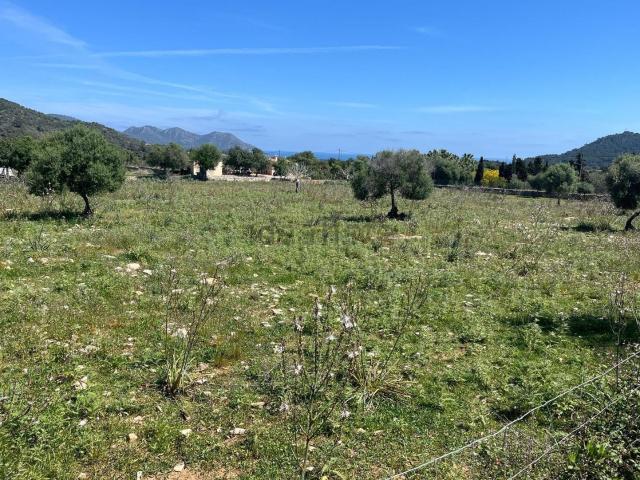 Terreno, Son Servera