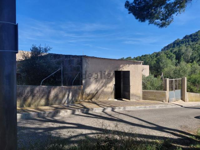 Terreno, Son Servera
