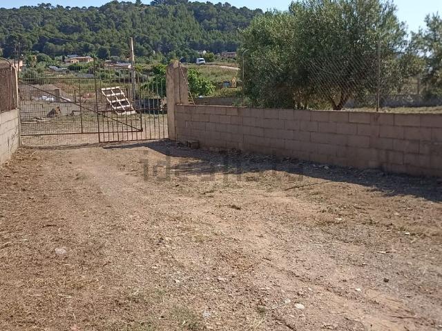 Terreno, Son Servera
