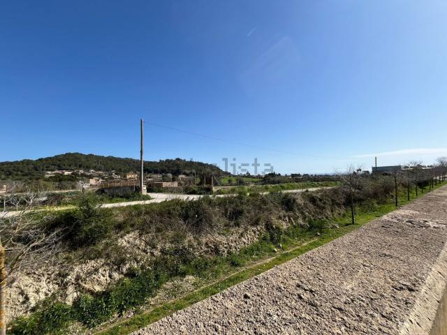 Terreno, Son Servera