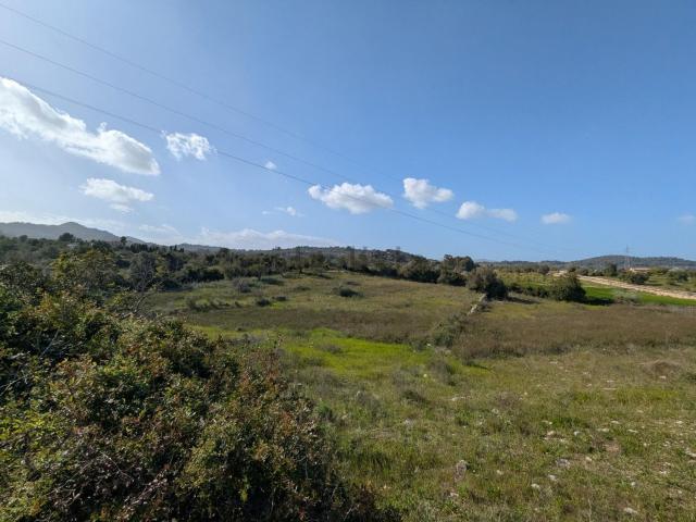Terreno, Son Servera
