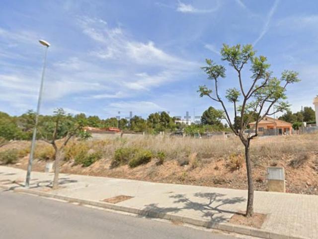 Terreno, Soneja