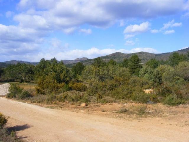 Terreno, Soneja
