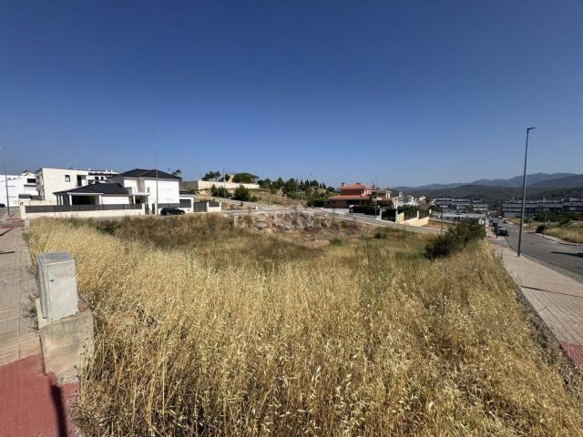 Terreno, Soneja
