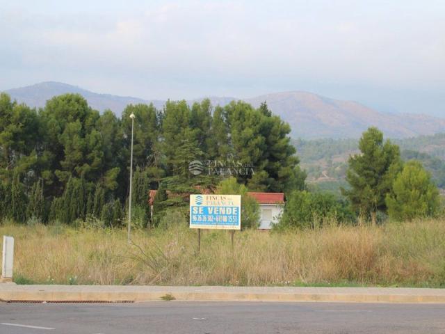 Terreno, Soneja
