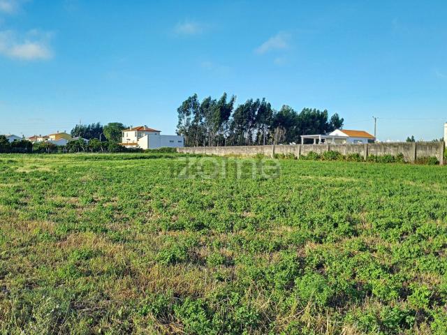 Terreno, Sosa