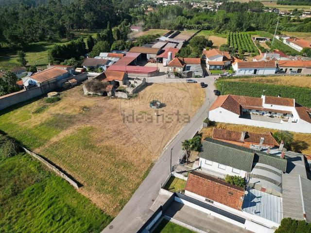 Terreno, Sosa