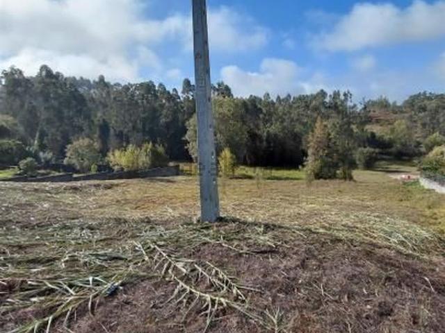 Terreno, Sosa