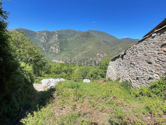 Terreno, Soriguera