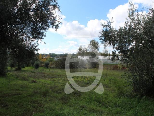 Terreno, Souselas e Botão, Coimbra | BPI Expresso Imobiliário