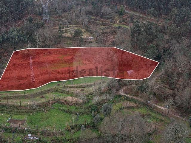 Terreno, Souto