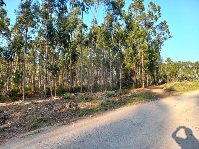 Terreno T0, Meirinhas, Pombal | BPI Expresso Imobiliário