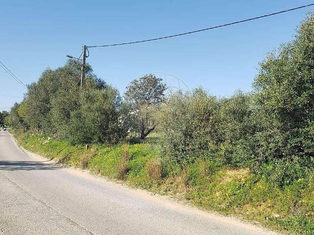 Terreno T0, Moncarapacho e Fuseta, Olhão | BPI Expresso Imobiliário