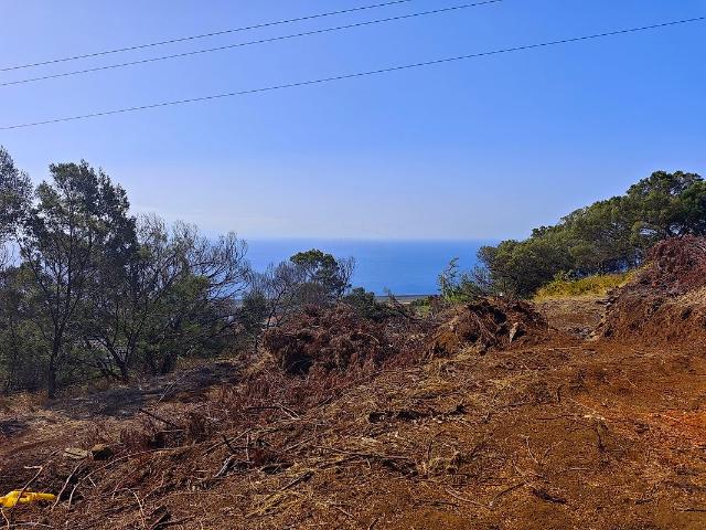 Terreno T0, Água de Pena, Machico | BPI Expresso Imobiliário