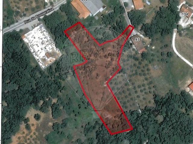 Terreno T0, Alvados e Alcaria, Porto de Mós | BPI Expresso Imobiliário
