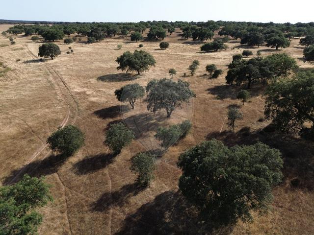 Terreno T0, Barbacena e Vila Fernando, Elvas | BPI Expresso Imobiliário