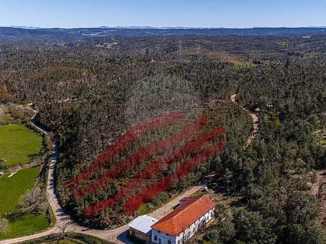 Terreno T0, Barreiro de Besteiros e Tourigo, Tondela | BPI Expresso Imobiliário