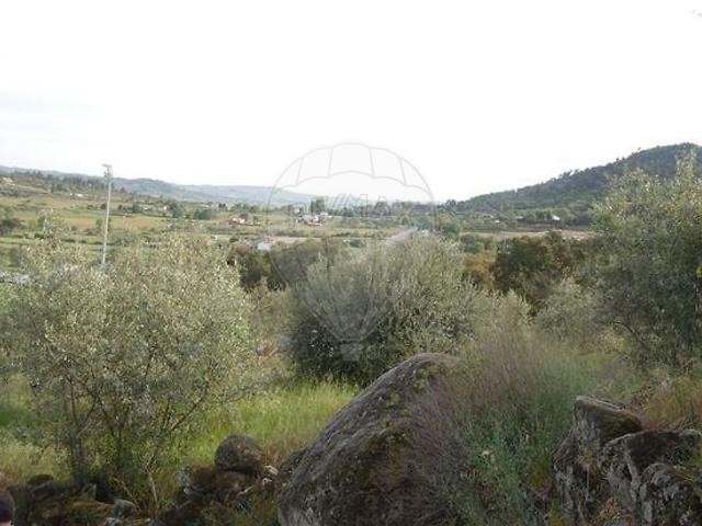 Terreno T0, Belmonte e Colmeal Da Torre, Belmonte | BPI Expresso Imobiliário