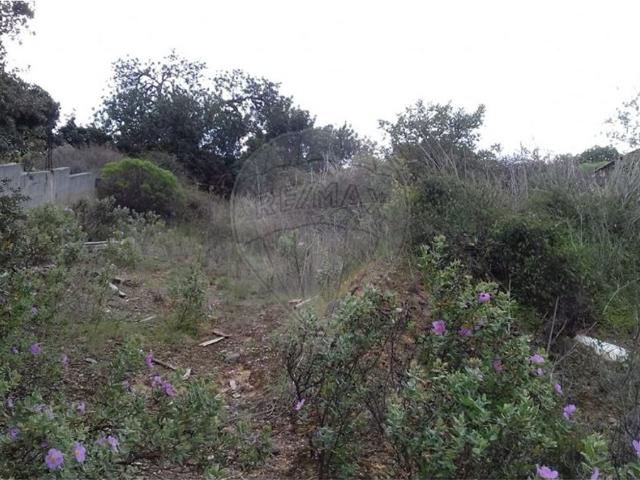 Terreno T0, Boliqueime, Loulé | BPI Expresso Imobiliário
