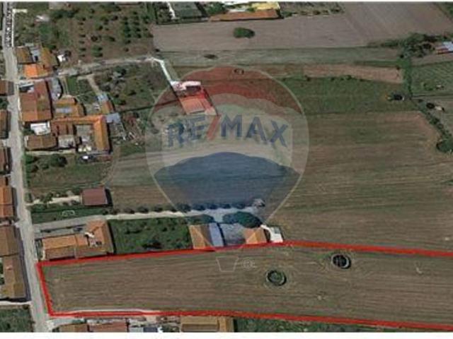 Terreno T0, Cadima, Cantanhede | BPI Expresso Imobiliário