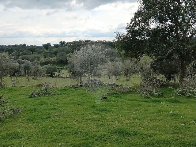 Terreno T0, Carvalhal, Nisa | BPI Expresso Imobiliário