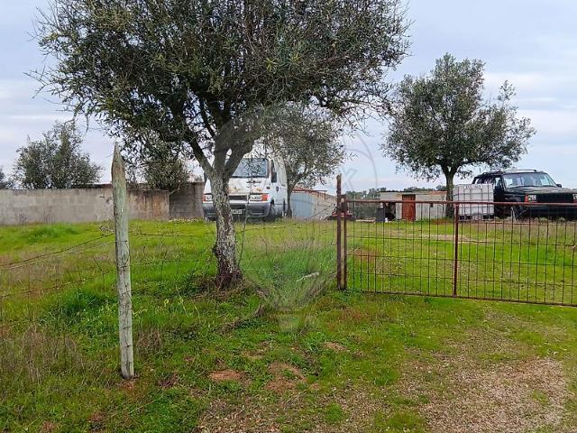 Terreno T0, Carvalhal, Nisa | BPI Expresso Imobiliário