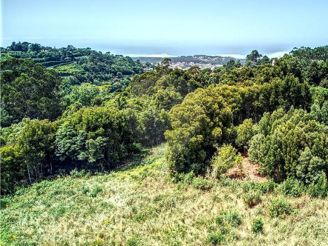 Terreno T0, Colares, Sintra | BPI Expresso Imobiliário