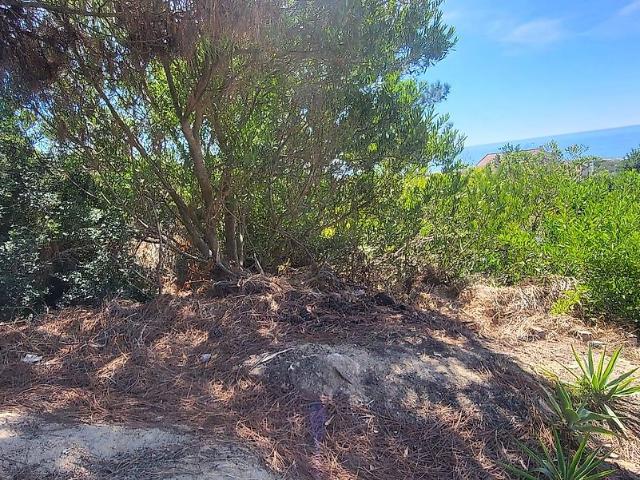 Terreno T0, Costa Da Caparica, Almada | BPI Expresso Imobiliário