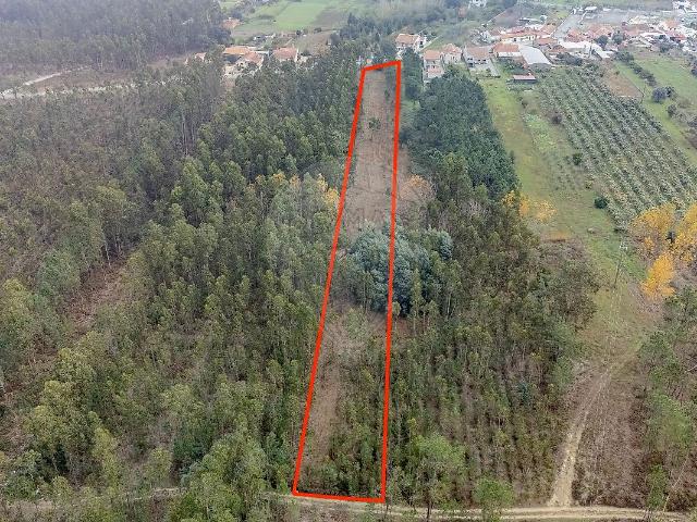 Terreno T0, Covões e Camarneira, Cantanhede | BPI Expresso Imobiliário