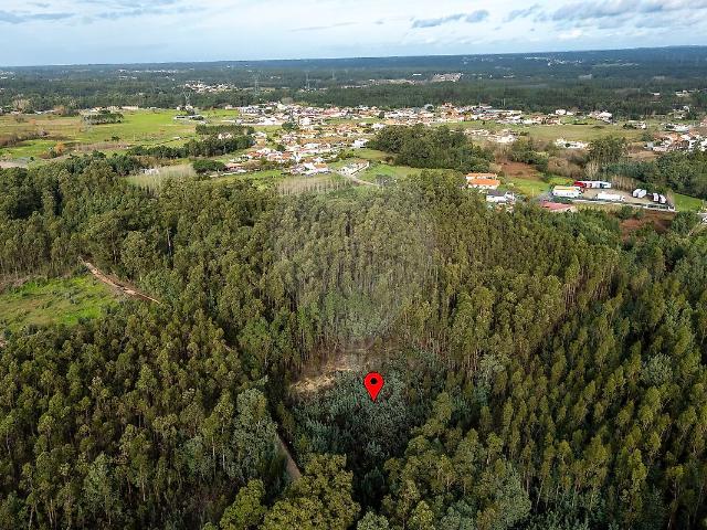 Terreno T0, Ferreira A Nova, Figueira da Foz | BPI Expresso Imobiliário