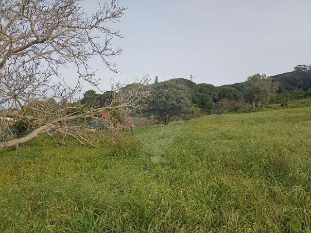 Terreno T0, Quinta Do Anjo, Palmela | BPI Expresso Imobiliário