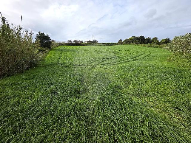 Terreno T0, Rabo de Peixe, Ribeira Grande | BPI Expresso Imobiliário