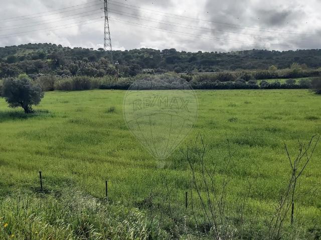 Terreno T0, São Bartolomeu de Messines, Silves | BPI Expresso Imobiliário