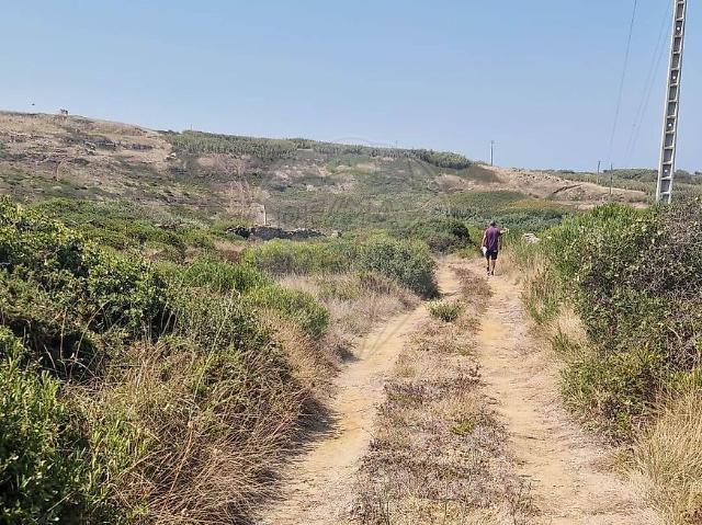 Terreno T0, São João Das Lampas e Terrugem, Sintra | BPI Expresso Imobiliário