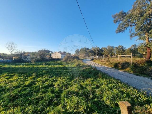 Terreno T0, São João de Areias, Santa Comba Dão | BPI Expresso Imobiliário