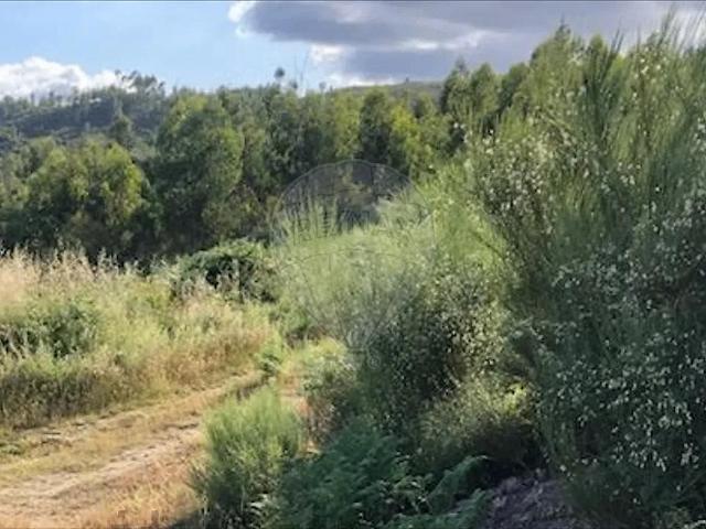 Terreno T0, Santa Cruz Da Trapa e São Cristóvão de Lafões, São Pedro do Sul | BPI Expresso Imobiliário