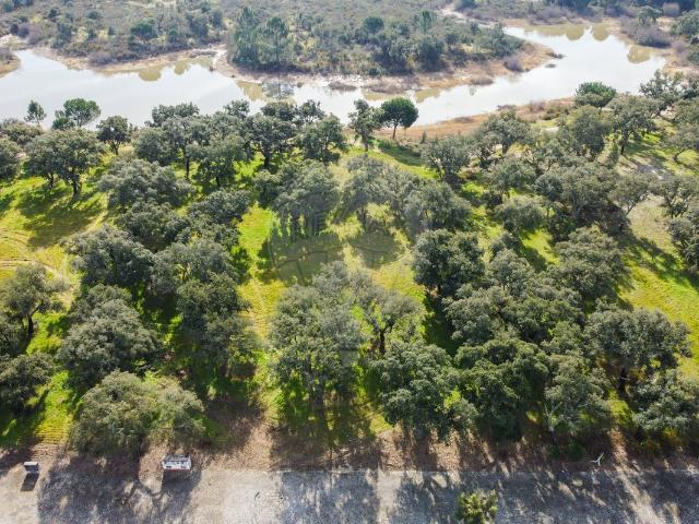 Terreno T0, Santo Estêvão, Benavente | BPI Expresso Imobiliário