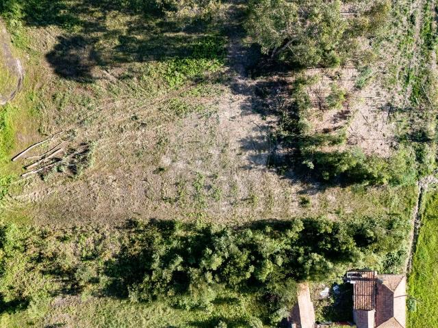Terreno T0, Tocha, Cantanhede | BPI Expresso Imobiliário
