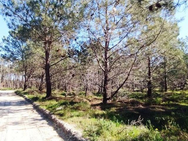 Terreno T1 em Vila do Bispo e Raposeira de 344887,00 m²