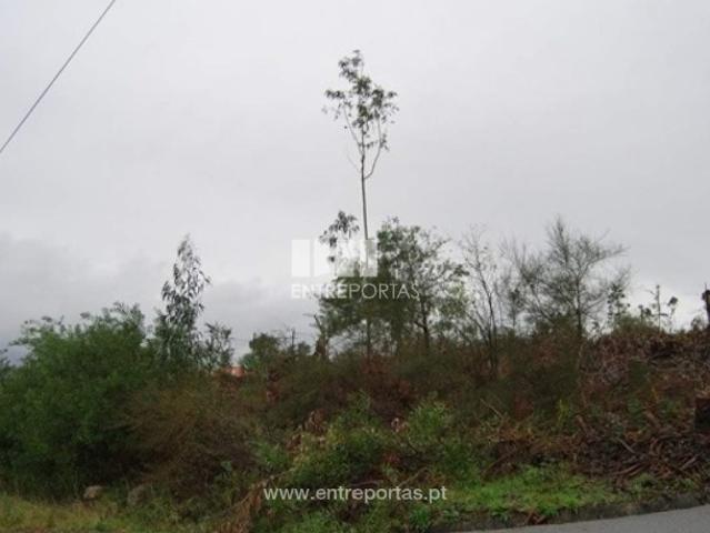 Terreno T1, Caminha Matriz e Vilarelho, Caminha | BPI Expresso Imobiliário