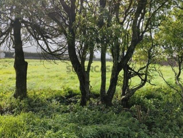 Terreno T3 em Rabo de Peixe de 820,00 m²