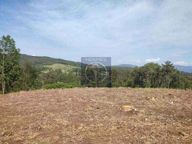 Terreno, Tui
