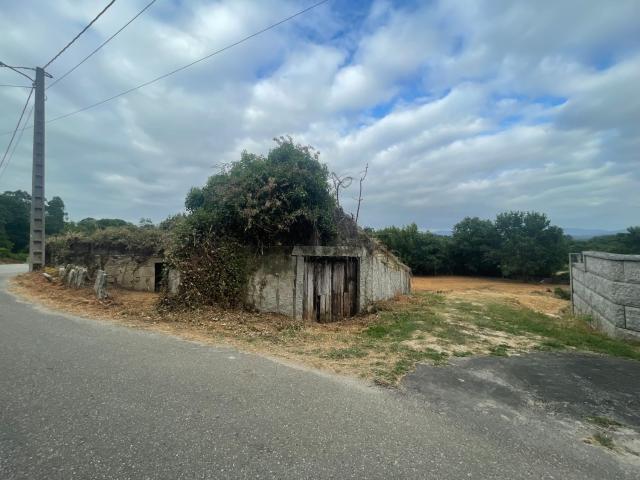 Terreno, Tui