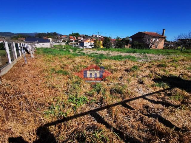 Terreno, Tui