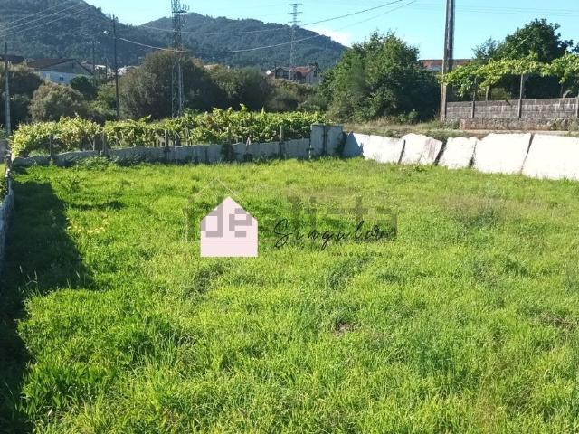 Terreno, Tui