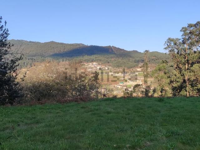 Terreno, Tui